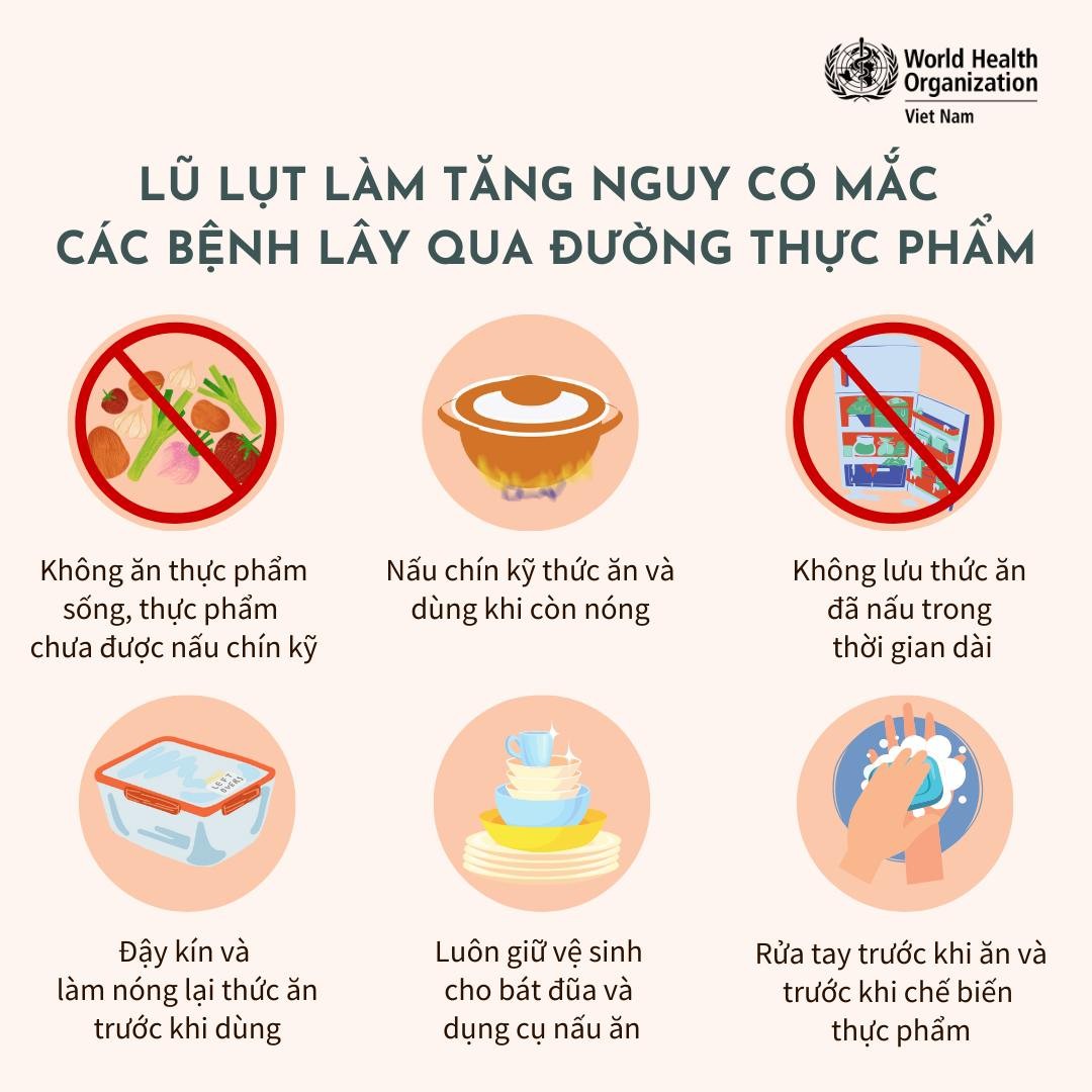 NHỮNG BIỆN PHÁP PHÒNG CHỐNG THIÊN TAI – BÃO LŨ HIỆU QUẢ  2025