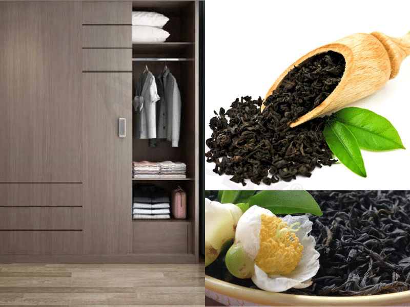 Chống Ẩm Mốc Tủ Quần Áo – Giải Pháp Hiệu Quả Cho Nhà Việt Trong Mùa Nồm Ẩm