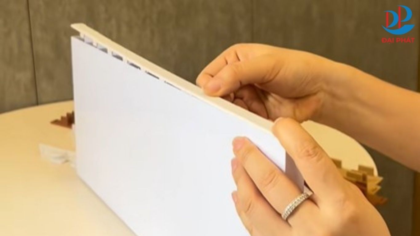 zukostar-dan-nep-bit-dau