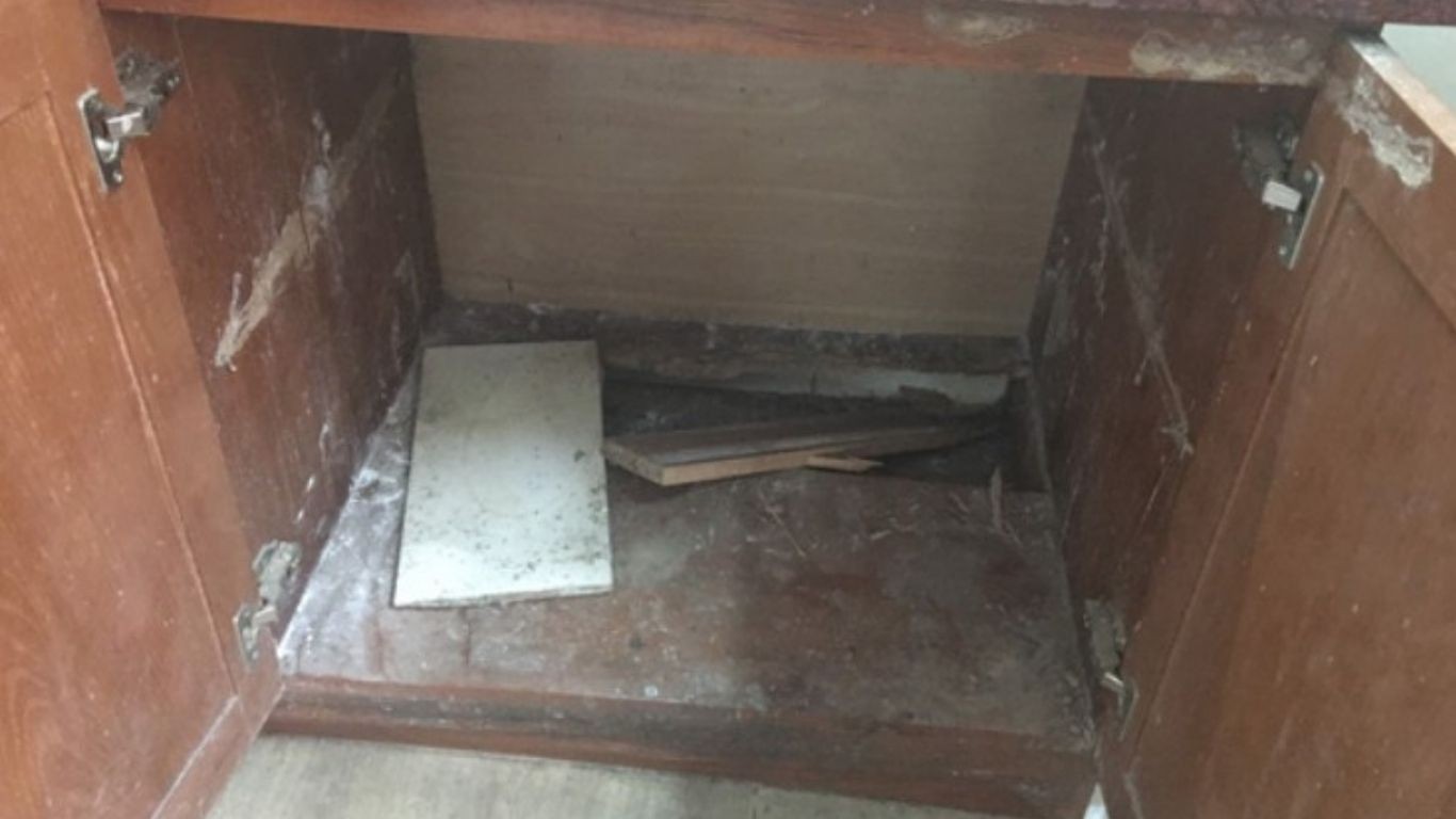 lap-tu-bep-nhua-dau-xuan-2026