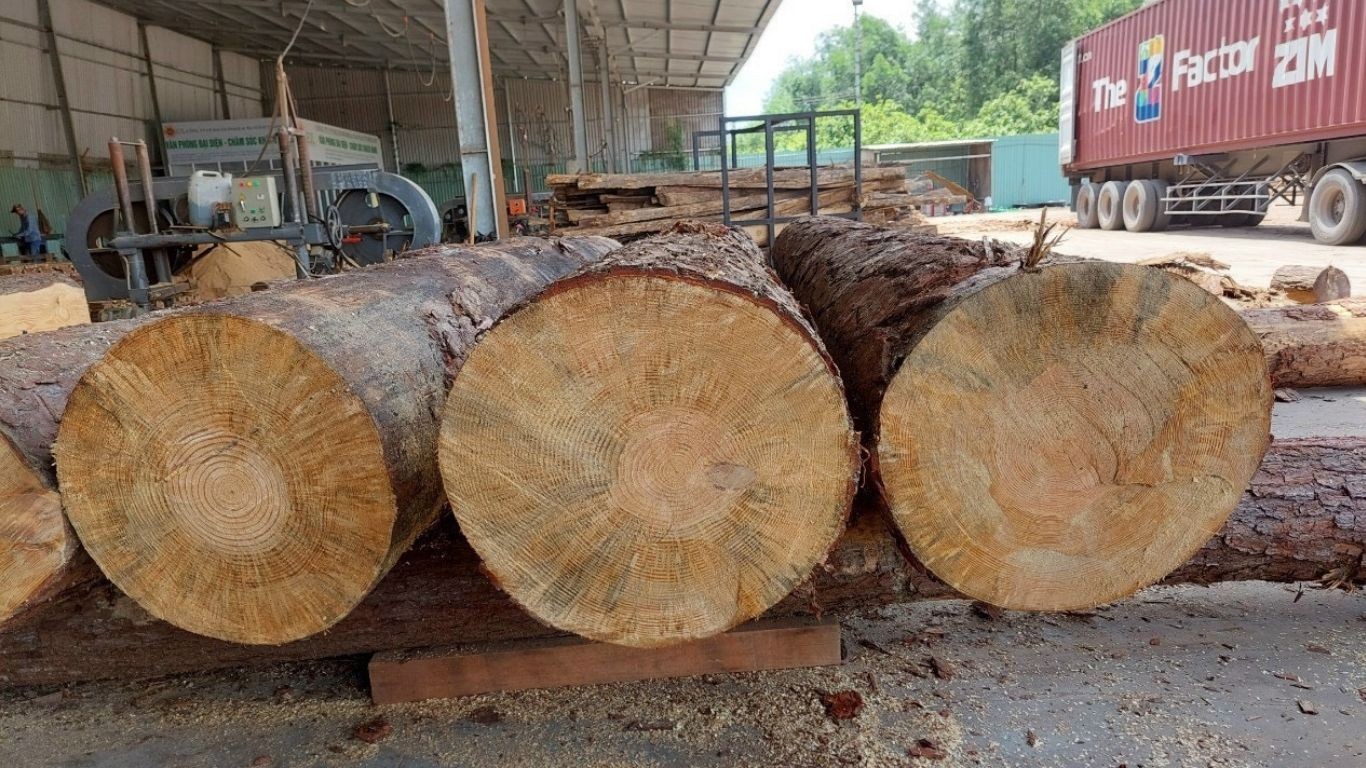 ke-tivi-nhua-cao-cap