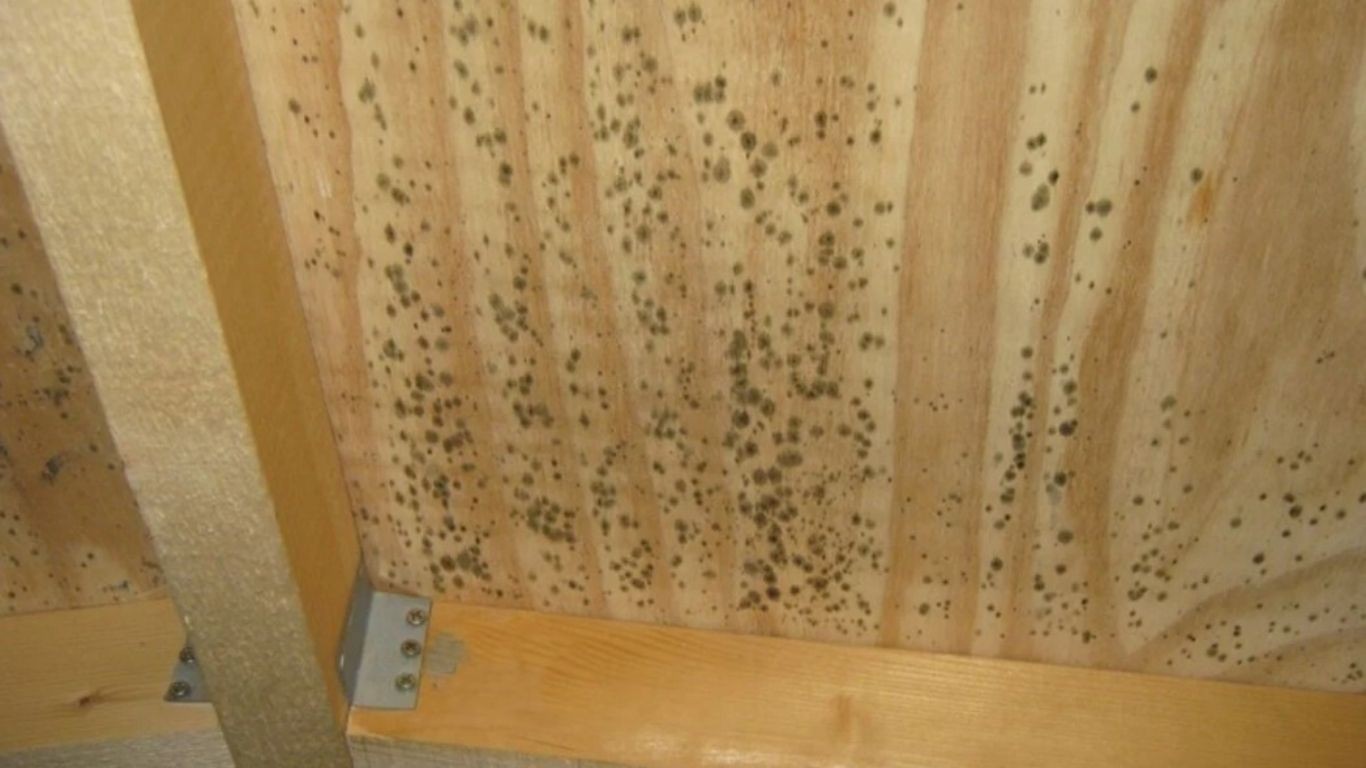 so-sanh-tu-bep-nhua-va-tu-bep-go