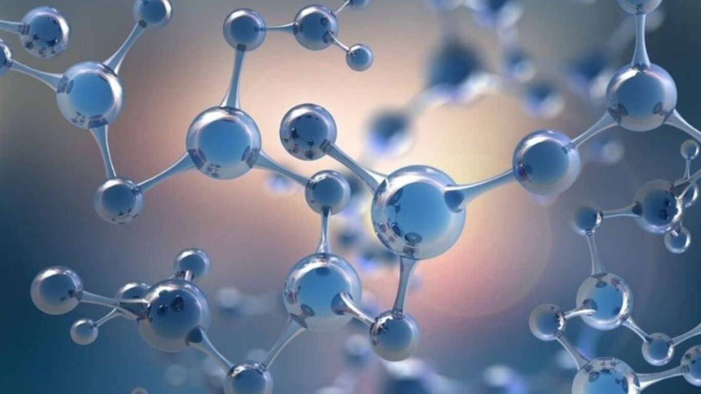 nhua-noi-that-dang-len-ngoi-trong-nam-2026