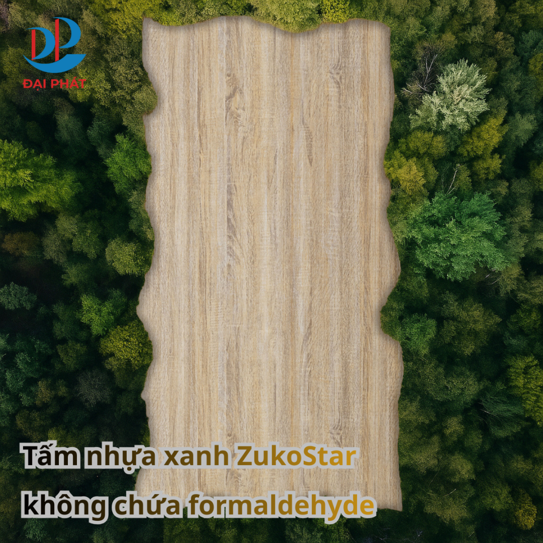 tam-nhua-dai-phat-11-nam-hanh-trinh