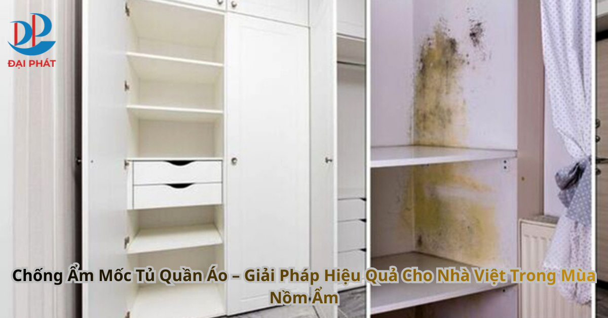 Chống Ẩm Mốc Tủ Quần Áo – Giải Pháp Hiệu Quả Cho Nhà Việt Trong Mùa Nồm Ẩm 2025
